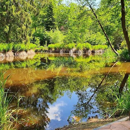 Midden In De Friese Bossen Op Landgoed Princenhof Oranjewoud Exteriör bild