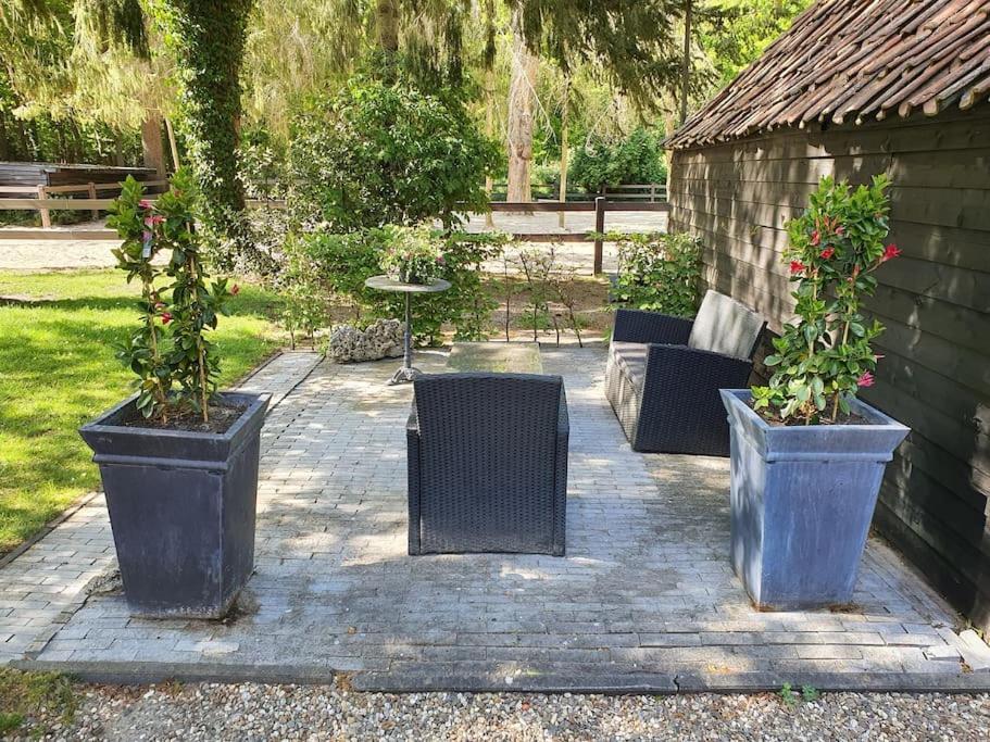 Midden In De Friese Bossen Op Landgoed Princenhof Oranjewoud Exteriör bild