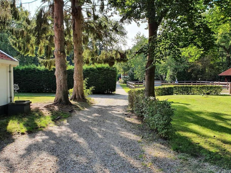 Midden In De Friese Bossen Op Landgoed Princenhof Oranjewoud Exteriör bild