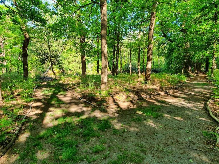 Midden In De Friese Bossen Op Landgoed Princenhof Oranjewoud Exteriör bild