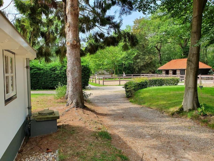 Midden In De Friese Bossen Op Landgoed Princenhof Oranjewoud Exteriör bild