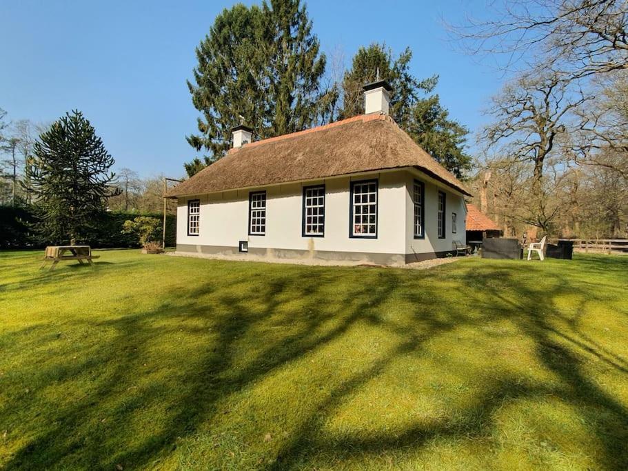 Midden In De Friese Bossen Op Landgoed Princenhof Oranjewoud Exteriör bild