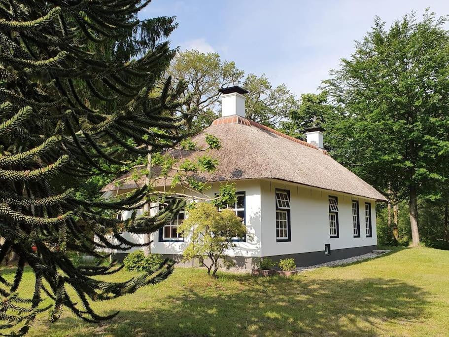 Midden In De Friese Bossen Op Landgoed Princenhof Oranjewoud Exteriör bild