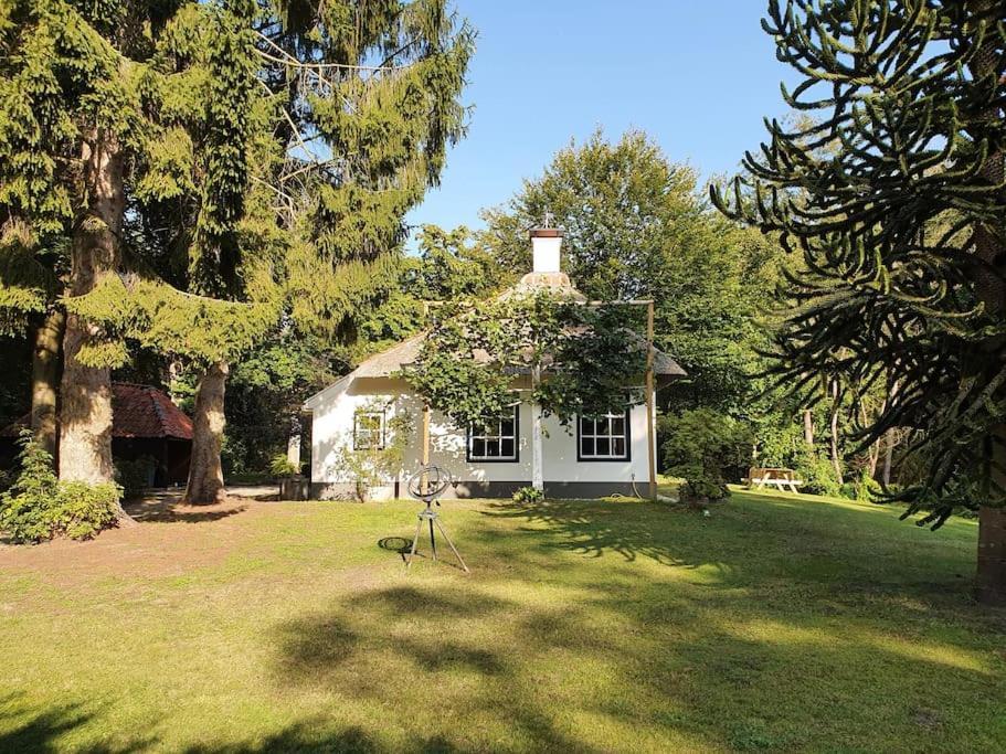 Midden In De Friese Bossen Op Landgoed Princenhof Oranjewoud Exteriör bild