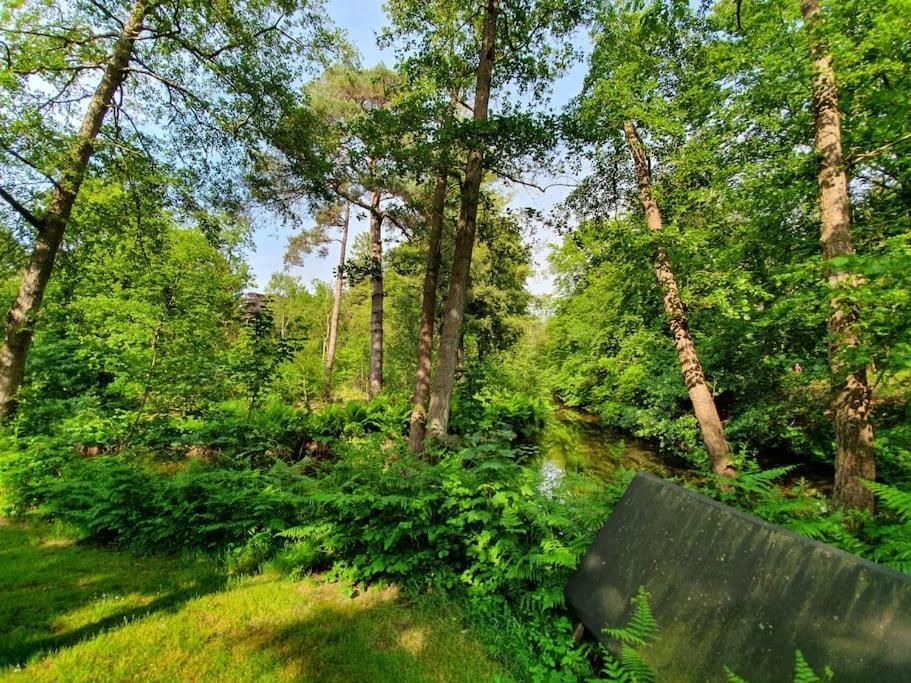 Midden In De Friese Bossen Op Landgoed Princenhof Oranjewoud Exteriör bild