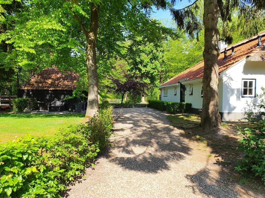 Midden In De Friese Bossen Op Landgoed Princenhof Oranjewoud Exteriör bild