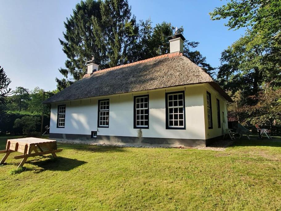 Midden In De Friese Bossen Op Landgoed Princenhof Oranjewoud Exteriör bild