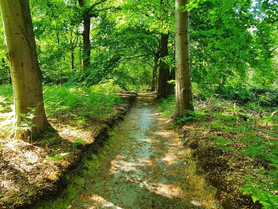 Midden In De Friese Bossen Op Landgoed Princenhof Oranjewoud Exteriör bild